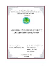 Đề tài Virus prrs và protein tái tổ hợp n ứng dụng trong chẩn đoán