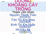 Dinh dưỡng khoáng cây trồng - Chủ đề: calcium