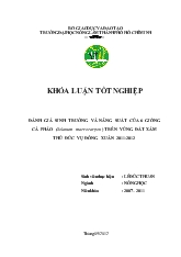 Khóa luận Đánh giá sinh trưởng và năng suất của 6 giống cà pháo (solanum macrocarpon) trên vùng đất xám thủ đức vụ đông xuân 2011 - 2012