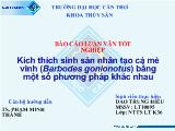 Luận văn Kích thích sinh sản nhân tạo cá mè vinh (Barbodes gonionotus) bằng một số phương pháp khác nhau