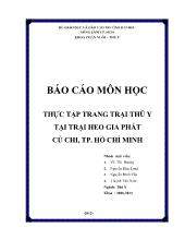 Thực tập trang trại thú y tại trại heo Gia Phát Củ Chi, TP Hồ Chí Minh