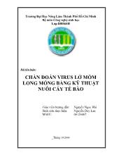 Tiểu luận Chẩn đoán virus lởmồm long móng bằng kỹ thuật nuôi cấy tế bào
