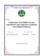 Tiểu luận Chuẩn đoán virus PRRS (Porcine reproductive and respiratory syndrome virus) bằng kĩ thuật gen