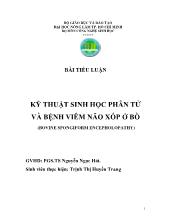 Tiểu luận Kỹ thuật sinh học phân tử và bệnh viêm não xốp ở bò (bovine spongiform encepholopathy)