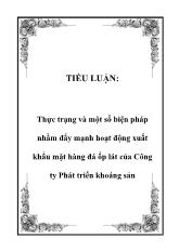 Tiểu luận Thực trạng và một số biện pháp nhằm đẩy mạnh hoạt động xuất khẩu mặt hàng đá ốp lát tại Công ty Phát triển khoáng sản