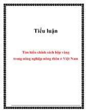 Tiểu luận Tìm hiểu chính sách hộp vàng trong nông nghiệp nông thôn ở Việt Nam