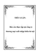 Tiểu luận Tình hình hoạt động tại công ty thương mại xuất nhập khẩu Hà Nội