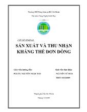 Bài thảo luận Sản xuất và thu nhận kháng thể đơn dòng