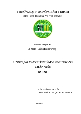 Chuyên đề Vi sinh vật - Môi trường ứng dụng các chế phẩm vi sinh trong