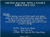 Đề tài Ảnh hưởng của mô hình nuôi xen ghép nước lợ tại các vùng triều khác nhau lên tốc độ tăng trưởng của tôm sú (Penaeus monodon) và sự biến động của một số yếu tố môi trường