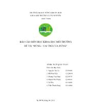 Đề tài Báo cáo môn học khoa học môi trường “rừng – Vai trò của rừng”