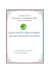 Đề tài Chuẩn đoán vius PMWS bằng kỹ thuật nuôi cấy té bao