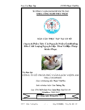 Đề tài Phân tích các nguyên nhân ảnh hưởng đến chất lượng nguyên liệu tôm và biện pháp khắc phục