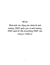 Đề tài Phân tích tác động của nhân tố môi trường MKT quốc gia và môi trường MKT quốc tế đến hoạt động MKT của công ty Unilever