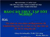 Đề tài Xác định các virus thuộc chi Begomovirus (họ Geminiviridae) trên cây cà chua và cây khác khu vực Hà Nội và vùng phụ cận