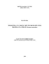 Luận văn Ảnh hưởng của thuốc trừ sâu decis lên tăng trưởng của tôm sú (penaeus monodon)