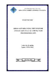 Luận văn Khảo sát khả năng tiết enzyme cellulase của các chủng nấm trichoderma SPP
