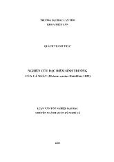 Luận văn Nghiên cứu đặc điểm sinh trưởng của cá ngát (plotosus caniushamilton, 1822)