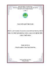 Luận văn Phân lập vi khuẩn bacillus subtilis trong phân heo và thử đối kháng với e. coli gây bệnh tiêu chảy trên heo