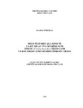 Luận văn Phân tích hiệu quả kinh tế và kỹ thuật của mô hình nuôi tôm sú (penaeus monodon) thâm canh và bán thâm canh ven biển tỉnh Sóc Trăng