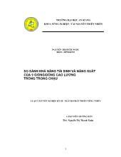 Luận văn So sánh khả năng tái sinh và năng suất của 9 giống/dòng cao lương trồng trong chậu