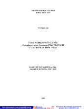 Luận văn Thực nghiệm nuôi cá nâu (scatophagus argus linnaeus, 1766) trong bể ở các độ mặn khác nhau