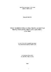 Thực nghiệm ương cá tra trong ao đất tại trung tâm giống thủy sản caseamex – Cần Thơ