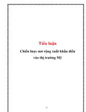 Tiểu luận Chiến lược mở rộng xuất khẩu điều vào thị trường Mỹ