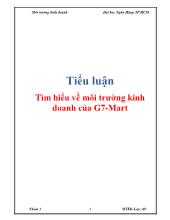 Tiểu luận Tìm hiểu về môi trường kinh doanh của G7 - Mart