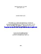 Tìm hiểu đặc điểm mô bệnh học ở tôm sú (p.monodon) bệnh hoại tử cơ quan tạo máu và cơ quan lập biểu mô