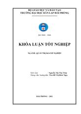 Biện pháp nâng cao hiệu quả sử dụng nguồn nhân lực tại công ty cổ phần hóa chất vật liệu điện Hải Phòng