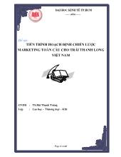 Đề tài Tiến trình hoạch định chiến lược marketing toàn cầu cho trái thanh long Việt Nam