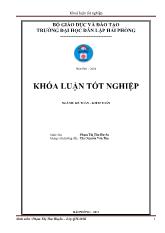 Hoàn thiện công tác kế toán doanh thu, chi phí và xác định kết quả kinh doanh tại công ty TNHH sản xuất và kinh doanh mút xốp Việt Thắng