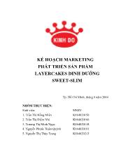 Kế hoạch marketing phát triển sản phẩm layercakes dinh dưỡng sweet-Slim
