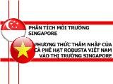 Phân tích môi trường Singapore phương thức thâm nhập của cà phê hạt robusta Việt Nam vào thị trường Singapore