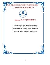 Thực trạng và giải pháp E - Marketing (tiếp thị điện tử) cho các doanh nghiệp tại Việt Nam trong thời gian 2008 – 2012