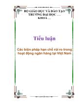 Tiểu luận Các biện pháp hạn chế rủi ro trong hoạt động ngân hàng iở Việt Nam