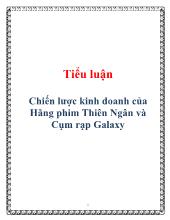 Tiểu luận Chiến lược kinh doanh của Hãng phim Thiên Ngân và Cụm rạp Galaxy