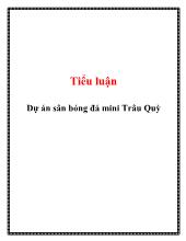 Tiểu luận Dự án sân bóng đá mini Trâu Quỳ