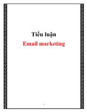 Tiểu luận Email marketing