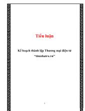 Tiểu luận Kế hoạch thành lập Thương mại điện tử “timnhatro.vn”