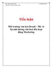 Tiểu luận Môi trường văn hoá Brazil – Mỹ và Sự ảnh hưởng văn hoá đến hoạt động Marketing