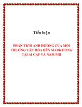 Tiểu luận Phân tích ảnh hưởng của môi trường văn hóa đến marketing tại Ai Cập và Nam Phi