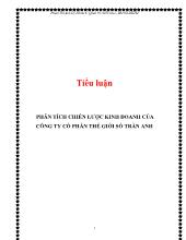 Tiểu luận Phân tích chiến lược kinh doanh của công ty cổ phần thế giới số Trần Anh