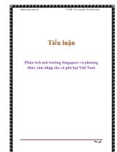 Tiểu luận Phân tích môi trường Singapore và phương thức xâm nhập cho cà phê hạt Việt Nam