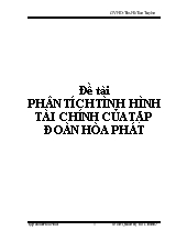 Đề tài Phân tích tình hình tài chính của tập đoàn Hòa Phát