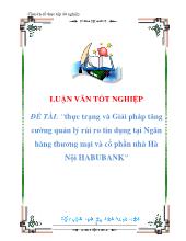Đề tài Thực trạng và giải pháp tăng cường quản lý rủi ro tín dụng tại ngân hàng thương mại và cổ phần nhà Hà Nội Habubank