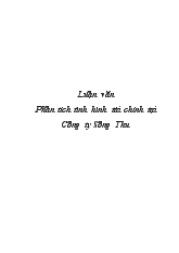 Luận văn Phân tích tình hình tài chính tại Công ty Sông Thu