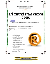 Lý thuyết tài chính công - Chủ đề: Thực trạng độc quyền tại Việt Nam hiện nay