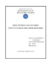 Phân tích báo cáo tài chính công ty cổ phần nhựa Bình Minh (bmp)